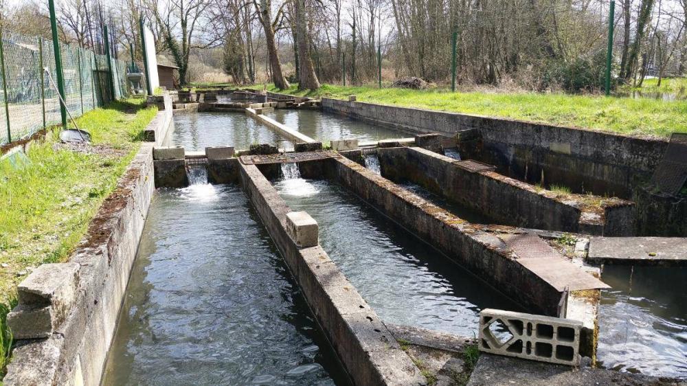 Aquaculture à Veuxhaulles-sur-Aube