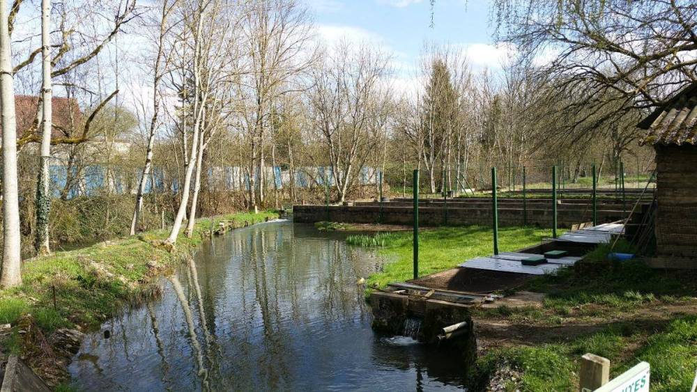 riviere